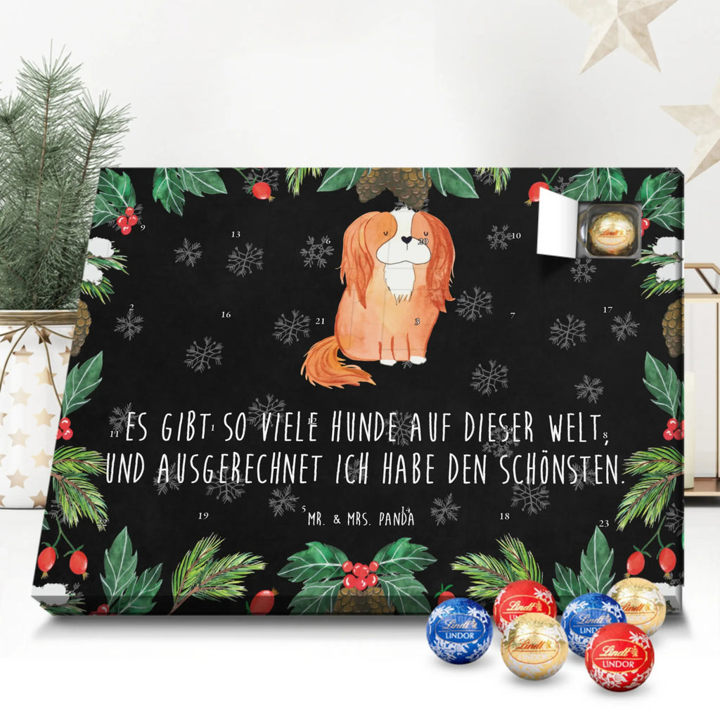 Kugel Markenschokolade Adventskalender Hund Cavalier King Charles Spaniel Adventskalender, Weihnachtskalender, Kalender, Weihnachten, Schokoladen Adventskalender, Kugel Markenschokolade Adventskalender, Hund, Hundemotiv, Haustier, Hunderasse, Tierliebhaber, Hundebesitzer, Sprüche, Cavalier King Charles Spaniel, Cockerspaniel, Spaniel, Spruch, schönster Hund