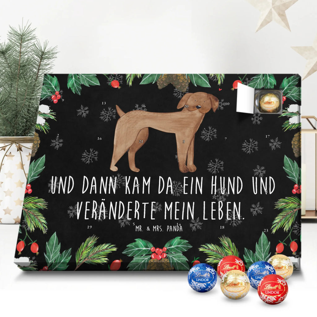 Kugel Markenschokolade Adventskalender Hund Dogge Adventskalender, Weihnachtskalender, Kalender, Weihnachten, Schokoladen Adventskalender, Kugel Markenschokolade Adventskalender, Hund, Hundemotiv, Haustier, Hunderasse, Tierliebhaber, Hundebesitzer, Sprüche, Hunde, Dogge, Deutsche Dogge, Great Dane