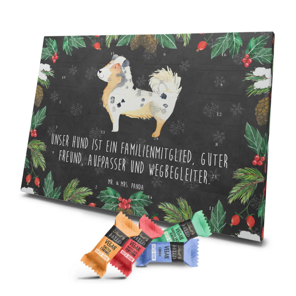 Veganer Adventskalender Hund Australien Shepherd Schokoladen Adventskalender, Hund, Hundemotiv, Haustier, Hunderasse, Tierliebhaber, Hundebesitzer, Sprüche, Australien Shepherd, Shepherd, Hundeliebe, Familienhund, Spruch