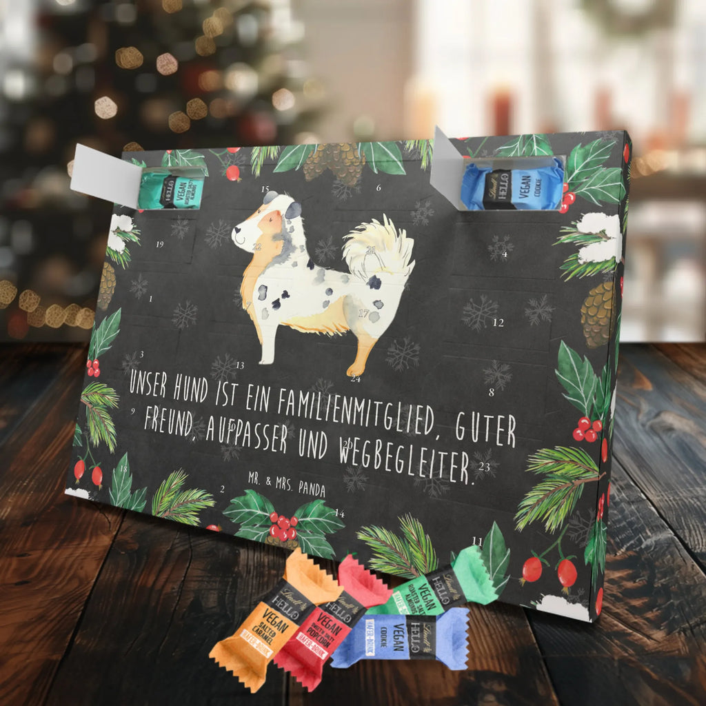 Veganer Adventskalender Hund Australien Shepherd Schokoladen Adventskalender, Hund, Hundemotiv, Haustier, Hunderasse, Tierliebhaber, Hundebesitzer, Sprüche, Australien Shepherd, Shepherd, Hundeliebe, Familienhund, Spruch