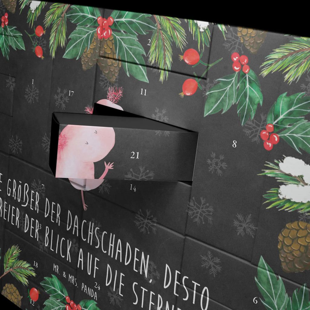 Befüllbarer Adventskalender Axolotl Tanzen Befüllbarer Adventskalender, Adventskalender zum selbst befüllen, Axolotl, Molch, Axolot, Schwanzlurch, Lurch, Lurche, Dachschaden, Sterne, verrückt, Freundin, beste Freundin