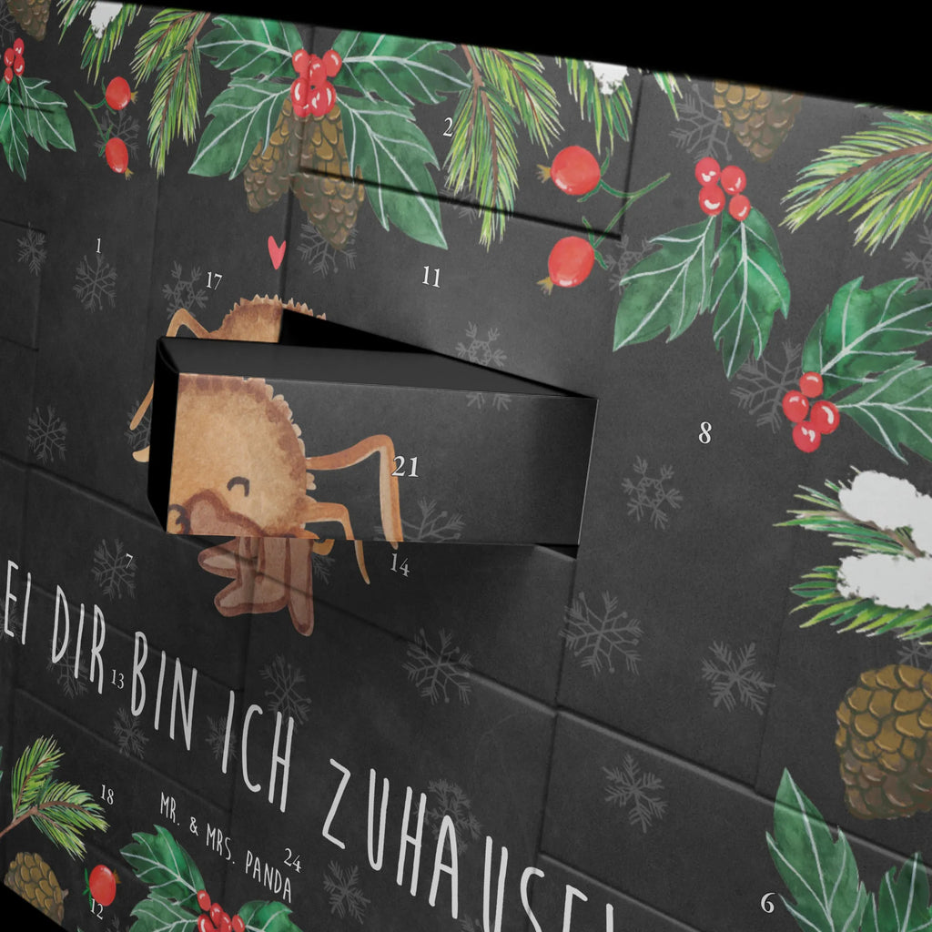 Fillable advent calendar Spider Agathe Teddy Befüllbarer Adventskalender, Adventskalender zum selbst befüllen, Spinne Agathe, Spinne, Agathe, Videos, Merchandise, Freundschaft, Liebesgeschenk, Verliebt, Liebesbeweis, Teddy, Treue, Miteinander, Dankeschön