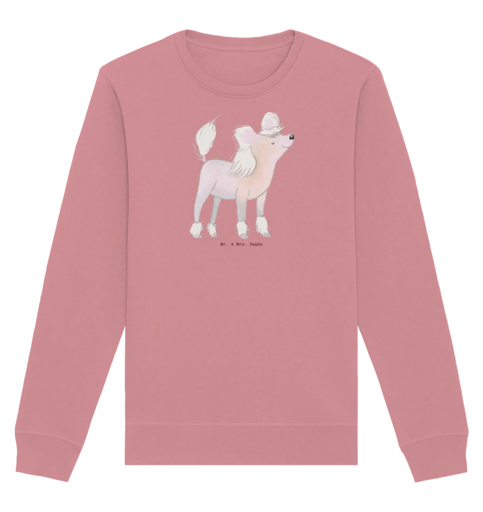 Organic Pullover Chinesischer Schopfhund Moment Pullover, Pullover Männer, Pullover Frauen, Sweatshirt, Sweatshirt Männer, Sweatshirt Frauen, Unisex, Hund, Hunderasse, Rassehund, Hundebesitzer, Geschenk, Tierfreund, Schenken, Welpe, Chinesischer Schopfhund, Chinese Crested Dog