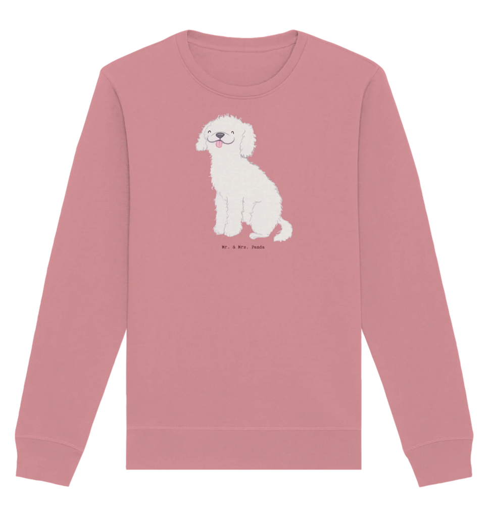 Organic Pullover Kleinpudel Moment Pullover, Pullover Männer, Pullover Frauen, Sweatshirt, Sweatshirt Männer, Sweatshirt Frauen, Unisex, Hund, Hunderasse, Rassehund, Hundebesitzer, Geschenk, Tierfreund, Schenken, Welpe, Pudel, Kleinpudel