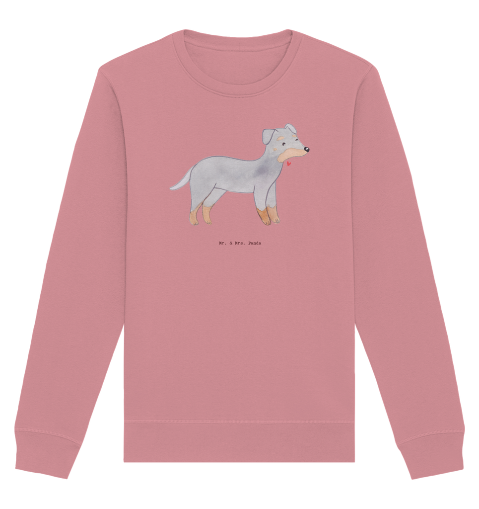 Organic Pullover Manchester Terrier Moment Pullover, Pullover Männer, Pullover Frauen, Sweatshirt, Sweatshirt Männer, Sweatshirt Frauen, Unisex, Hund, Hunderasse, Rassehund, Hundebesitzer, Geschenk, Tierfreund, Schenken, Welpe, Manchester Terrier