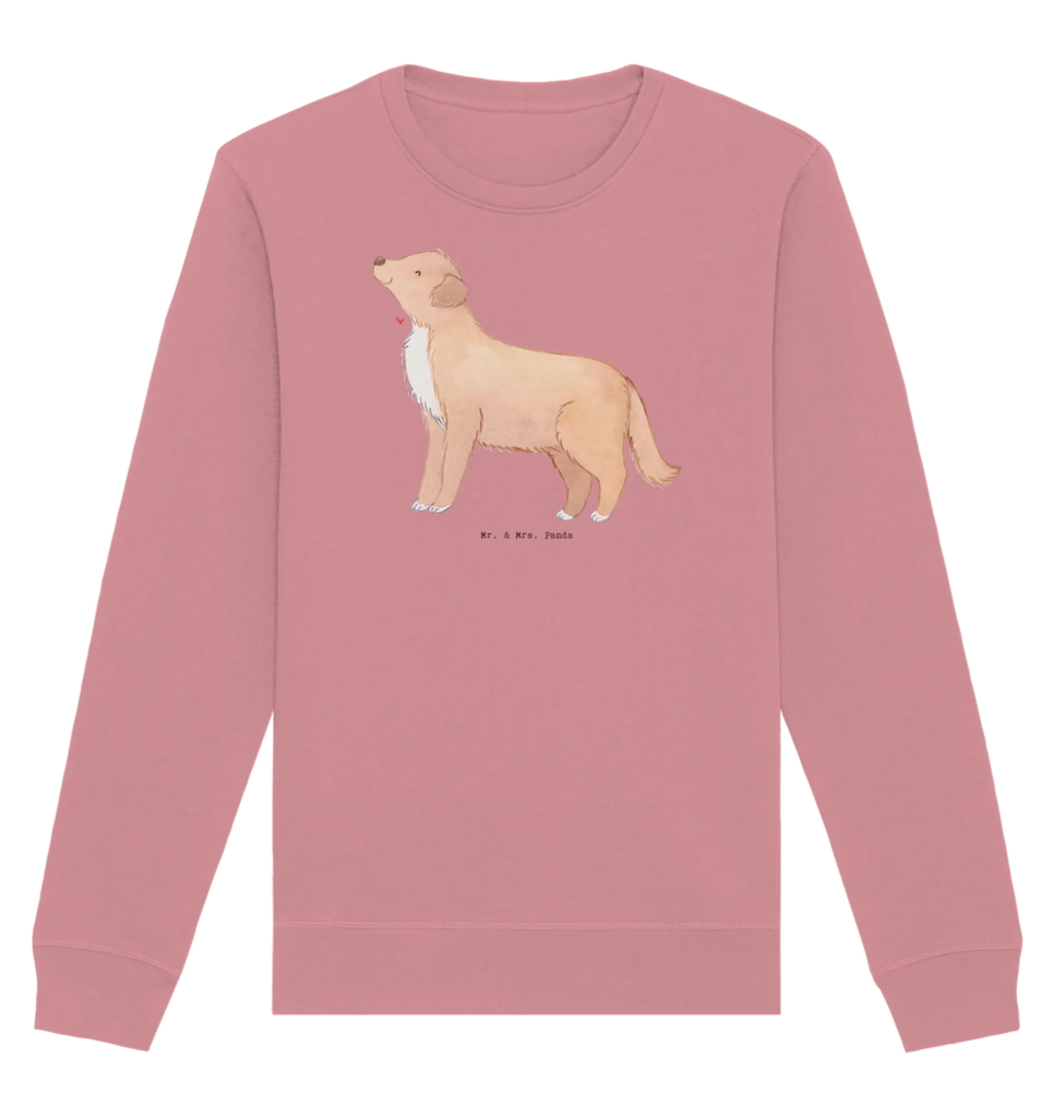 Organic Pullover Nova Scotia Duck Moment Pullover, Pullover Männer, Pullover Frauen, Sweatshirt, Sweatshirt Männer, Sweatshirt Frauen, Unisex, Hund, Hunderasse, Rassehund, Hundebesitzer, Geschenk, Tierfreund, Schenken, Welpe, Nova Scotia Duck Tolling Retriever, Retriever