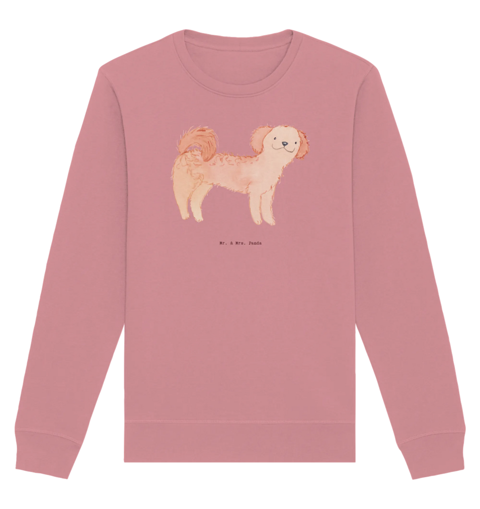 Organic Pullover Cavapoo Moment Pullover, Pullover Männer, Pullover Frauen, Sweatshirt, Sweatshirt Männer, Sweatshirt Frauen, Unisex, Hund, Hunderasse, Rassehund, Hundebesitzer, Geschenk, Tierfreund, Schenken, Welpe, Cavapoo, Cavoodle