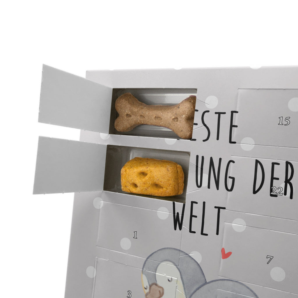 Personalisierter Hunde Foto Adventskalender Pinguin Beste Beziehung der Welt Hunde Adventskalender, für, Dankeschön, Geschenk, Schenken, Geburtstag, Geburtstagsgeschenk, Geschenkidee, Danke, Bedanken, Mitbringsel, Freude machen, Geschenktipp, Beziehung, Zusammen sein, Miteinander gehen, Liebe, Verlieb, Liebesgeschenk