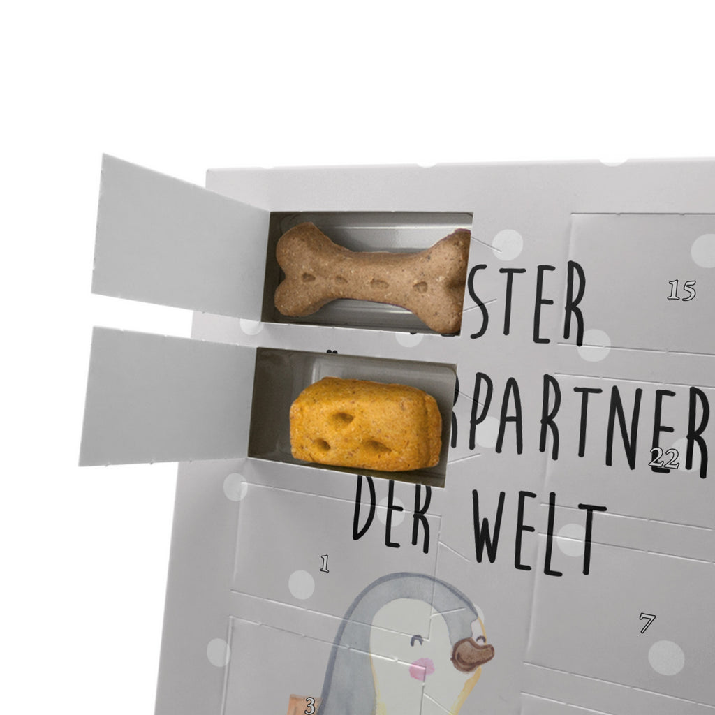 Personalisierter Hunde Foto Adventskalender Pinguin Bester Lästerpartner der Welt Hunde Adventskalender, für, Dankeschön, Geschenk, Schenken, Geburtstag, Geburtstagsgeschenk, Geschenkidee, Danke, Bedanken, Mitbringsel, Freude machen, Geschenktipp, Lästerpartner, Lesterpartner, lestern, Lästerschwester, Lästern, beste Freundin, Freundin, Spaß, bff