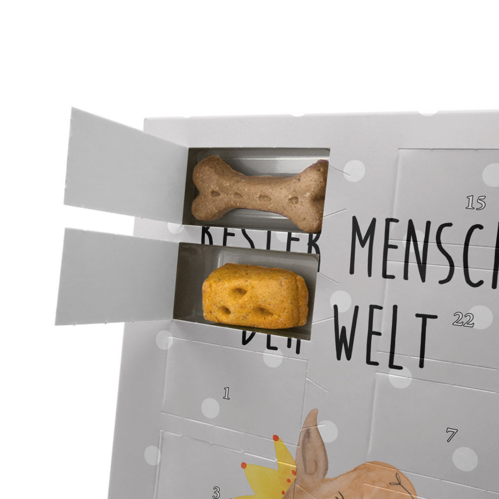 Personalisierter Hunde Foto Adventskalender Lama Bester Mensch der Welt Hunde Adventskalender, für, Dankeschön, Geschenk, Schenken, Geburtstag, Geburtstagsgeschenk, Geschenkidee, Danke, Bedanken, Mitbringsel, Freude machen, Geschenktipp, Lieblingsmensch, Liebling, Lieblings Mensch, tollster Mensch, Vorbild, Partner, Ehemann, Ehefrau, Liebe, Valentinstag