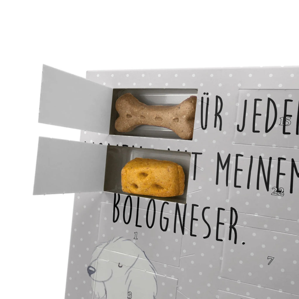 Personalisierter Hunde Foto Adventskalender Bologneser Moment Personalisierter Hunde Foto Adventskalender, Hund, Hunderasse, Rassehund, Hundebesitzer, Geschenk, Tierfreund, Schenken, Welpe, Bologneser