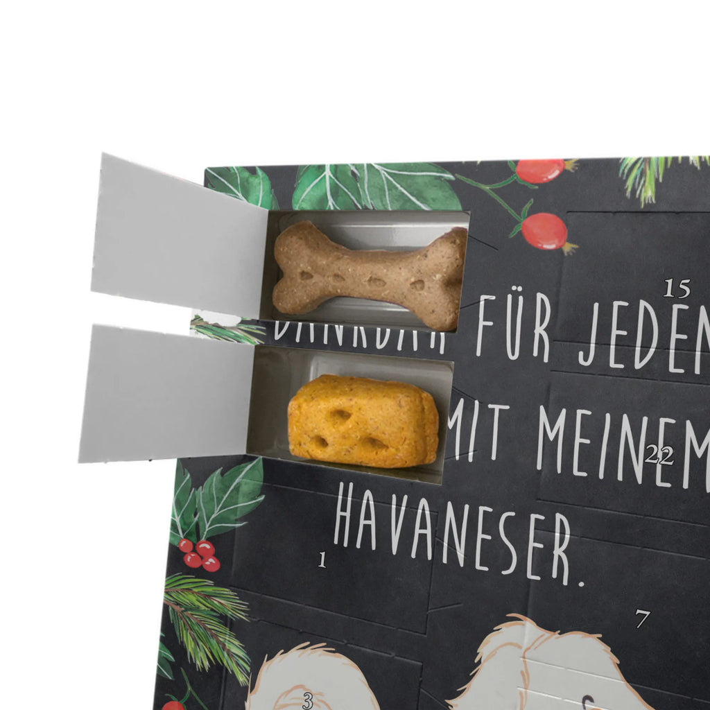 Personalisierter Hunde Foto Adventskalender Havaneser Moment Personalisierter Hunde Foto Adventskalender, Hund, Hunderasse, Rassehund, Hundebesitzer, Geschenk, Tierfreund, Schenken, Welpe, Havaneser, Havi, Bichon Havanais, Bichón Habanero