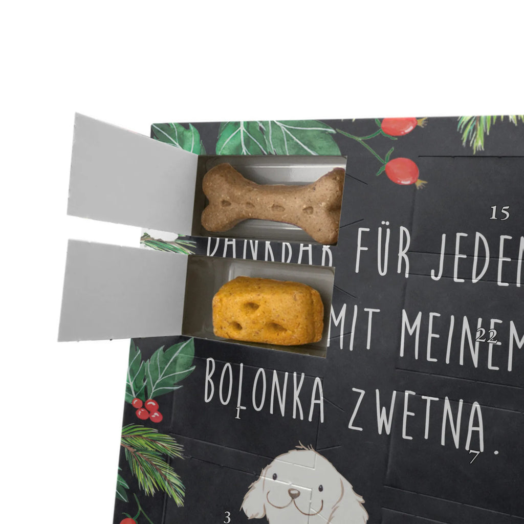 Personalisierter Hunde Foto Adventskalender Bolonka Zwetna Moment Personalisierter Hunde Foto Adventskalender, Hund, Hunderasse, Rassehund, Hundebesitzer, Geschenk, Tierfreund, Schenken, Welpe, Bolonka Zwetna, Tsvetnaya Bolonka