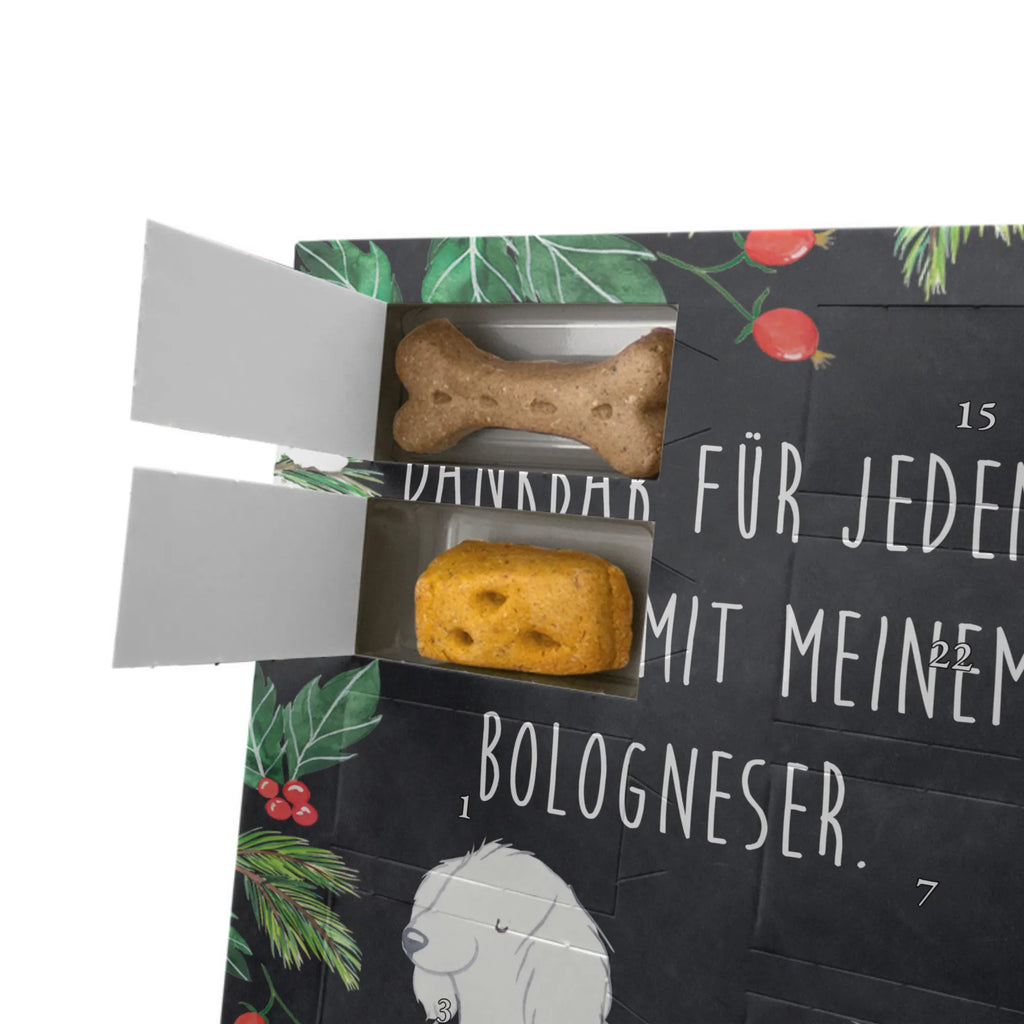 Personalisierter Hunde Foto Adventskalender Bologneser Moment Personalisierter Hunde Foto Adventskalender, Hund, Hunderasse, Rassehund, Hundebesitzer, Geschenk, Tierfreund, Schenken, Welpe, Bologneser