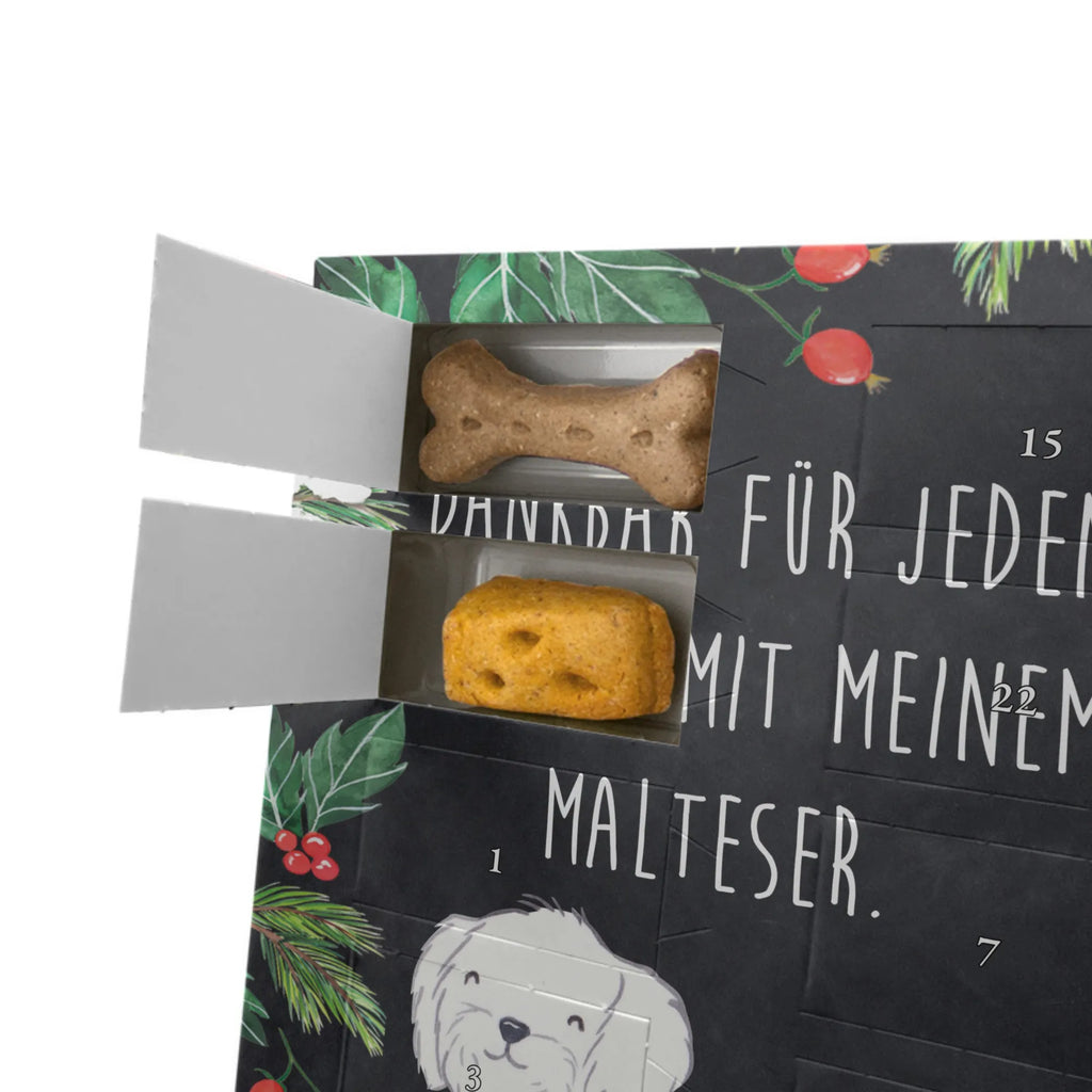 Personalisierter Hunde Foto Adventskalender Malteser Moment Personalisierter Hunde Foto Adventskalender, Hund, Hunderasse, Rassehund, Hundebesitzer, Geschenk, Tierfreund, Schenken, Welpe, Malteser