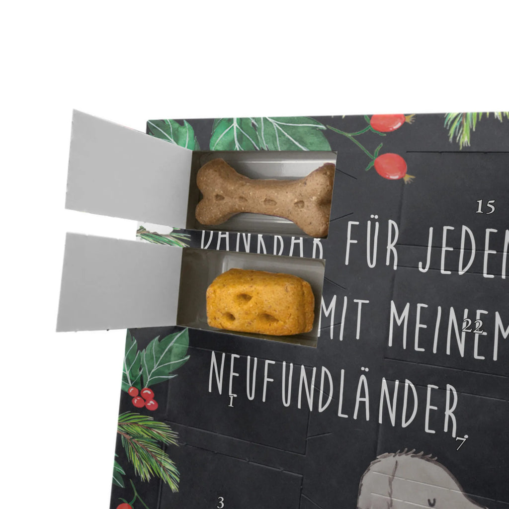 Personalisierter Hunde Foto Adventskalender Neufundländer Moment Personalisierter Hunde Foto Adventskalender, Hund, Hunderasse, Rassehund, Hundebesitzer, Geschenk, Tierfreund, Schenken, Welpe, Neufundländer, Newfoundland