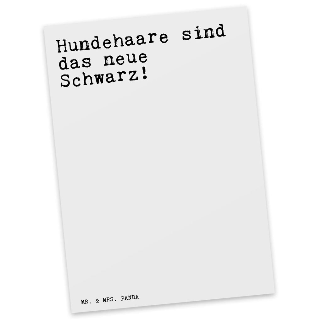 Postkarte Sprüche und Zitate Hundehaare sind das neue Schwarz! Postkarte, Karte, Geschenkkarte, Grußkarte, Einladung, Ansichtskarte, Geburtstagskarte, Einladungskarte, Dankeskarte, Ansichtskarten, Einladung Geburtstag, Einladungskarten Geburtstag, Spruch, Sprüche, lustige Sprüche, Weisheiten, Zitate, Spruch Geschenke, Spruch Sprüche Weisheiten Zitate Lustig Weisheit Worte