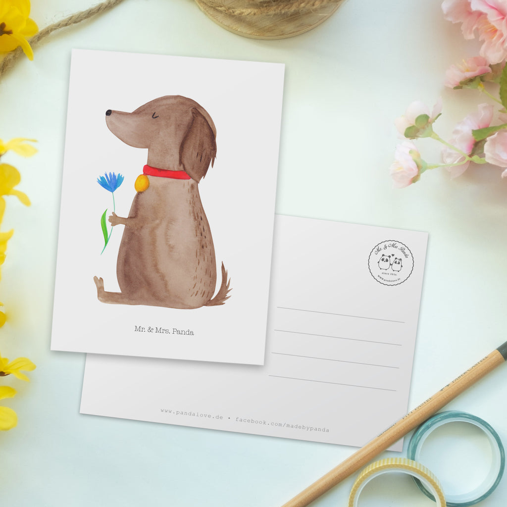 Postkarte Hund Blume Postkarte, Karte, Geschenkkarte, Grußkarte, Einladung, Ansichtskarte, Geburtstagskarte, Einladungskarte, Dankeskarte, Ansichtskarten, Einladung Geburtstag, Einladungskarten Geburtstag, Hund, Hundemotiv, Haustier, Hunderasse, Tierliebhaber, Hundebesitzer, Sprüche, Hunde, Frauchen, Hundeliebe