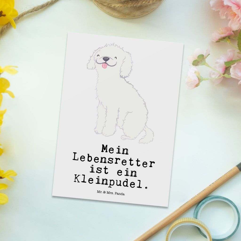 Postkarte Kleinpudel Lebensretter Postkarte, Karte, Geschenkkarte, Grußkarte, Einladung, Ansichtskarte, Geburtstagskarte, Einladungskarte, Dankeskarte, Ansichtskarten, Einladung Geburtstag, Einladungskarten Geburtstag, Hund, Hunderasse, Rassehund, Hundebesitzer, Geschenk, Tierfreund, Schenken, Welpe, Pudel, Kleinpudel