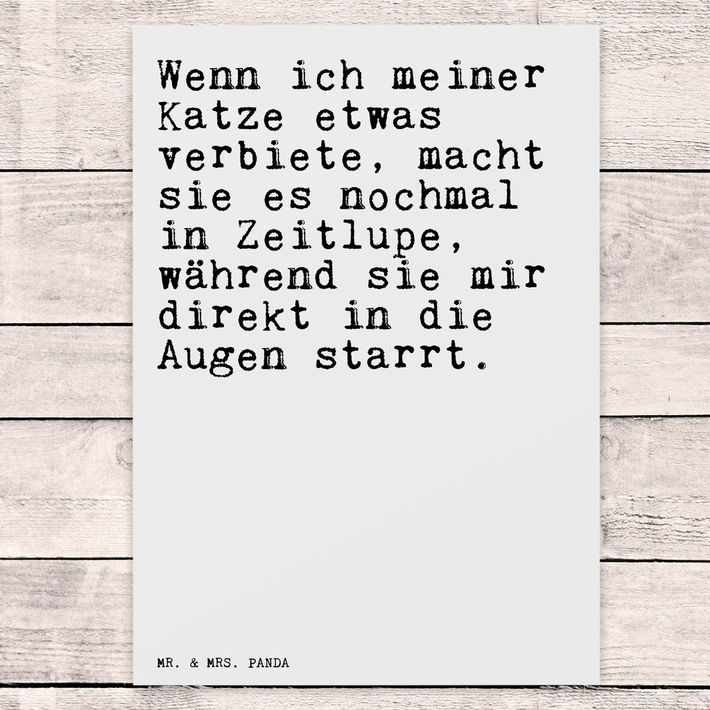 Postkarte Wenn ich meiner Katze... Postkarte, Karte, Geschenkkarte, Grußkarte, Einladung, Ansichtskarte, Geburtstagskarte, Einladungskarte, Dankeskarte, Ansichtskarten, Einladung Geburtstag, Einladungskarten Geburtstag, Spruch, Sprüche, lustige Sprüche, Weisheiten, Zitate, Spruch Geschenke, Spruch Sprüche Weisheiten Zitate Lustig Weisheit Worte