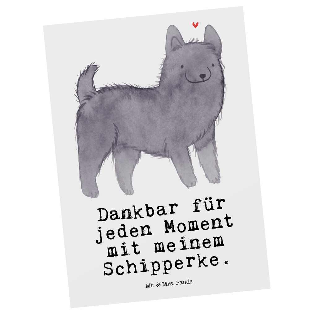 Postkarte Schipperke Moment Postkarte, Karte, Geschenkkarte, Grußkarte, Einladung, Ansichtskarte, Geburtstagskarte, Einladungskarte, Dankeskarte, Ansichtskarten, Einladung Geburtstag, Einladungskarten Geburtstag, Hund, Hunderasse, Rassehund, Hundebesitzer, Geschenk, Tierfreund, Schenken, Welpe, Schipperke, belgische Hunderasse