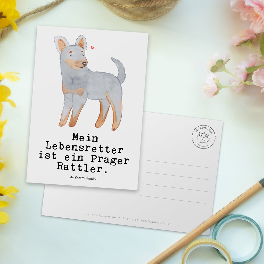 Postkarte Prager Rattler Lebensretter Postkarte, Karte, Geschenkkarte, Grußkarte, Einladung, Ansichtskarte, Geburtstagskarte, Einladungskarte, Dankeskarte, Hund, Hunderasse, Rassehund, Hundebesitzer, Geschenk, Tierfreund, Schenken, Welpe, Pincher, Prager Rattler