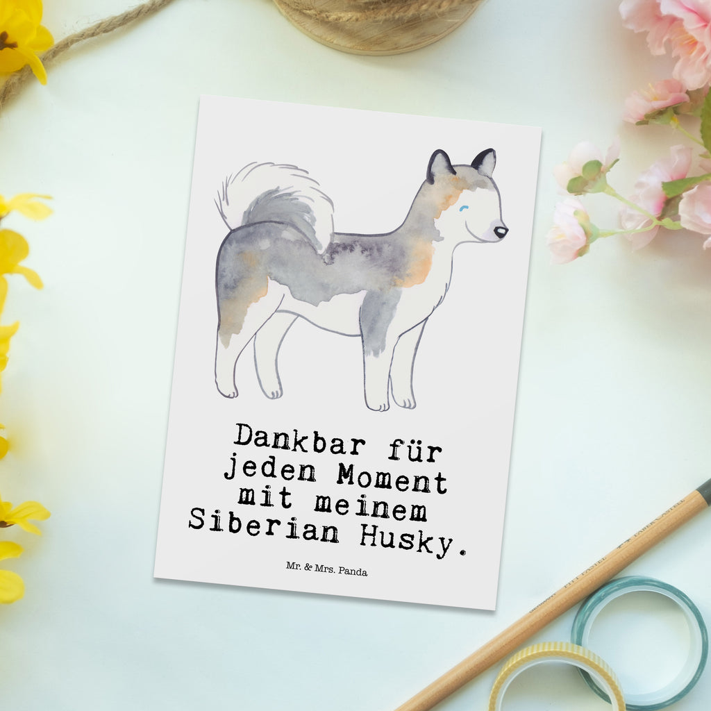 Postkarte Siberian Husky Moment Postkarte, Karte, Geschenkkarte, Grußkarte, Einladung, Ansichtskarte, Geburtstagskarte, Einladungskarte, Dankeskarte, Ansichtskarten, Einladung Geburtstag, Einladungskarten Geburtstag, Hund, Hunderasse, Rassehund, Hundebesitzer, Geschenk, Tierfreund, Schenken, Welpe, Siberian Husky