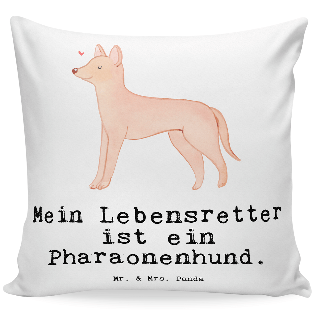 40x40 Kissen Pharaonenhund Lebensretter Kissenhülle, Kopfkissen, Sofakissen, Dekokissen, Motivkissen, sofakissen, sitzkissen, Kissen, Kissenbezüge, Kissenbezug 40x40, Kissen 40x40, Kissenhülle 40x40, Zierkissen, Couchkissen, Dekokissen Sofa, Sofakissen 40x40, Dekokissen 40x40, Kopfkissen 40x40, Kissen 40x40 Waschbar, Hund, Hunderasse, Rassehund, Hundebesitzer, Geschenk, Tierfreund, Schenken, Welpe, Pharaonenhund, Pharaoh Hound, Kelb tal-Fenek