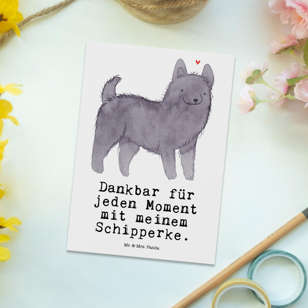 Postkarte Schipperke Moment Postkarte, Karte, Geschenkkarte, Grußkarte, Einladung, Ansichtskarte, Geburtstagskarte, Einladungskarte, Dankeskarte, Ansichtskarten, Einladung Geburtstag, Einladungskarten Geburtstag, Hund, Hunderasse, Rassehund, Hundebesitzer, Geschenk, Tierfreund, Schenken, Welpe, Schipperke, belgische Hunderasse