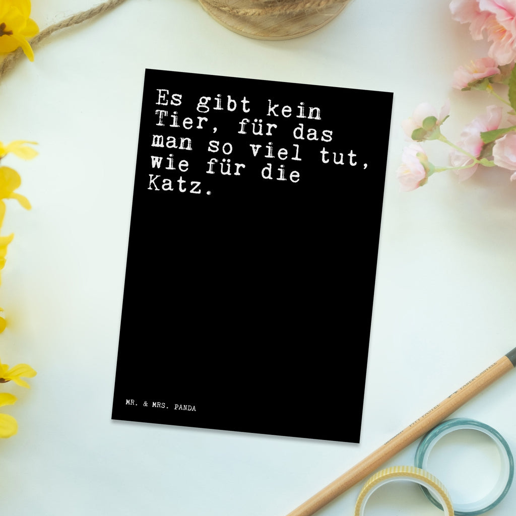 Postkarte Sprüche und Zitate Es gibt kein Tier, für das man so viel tut, wie für die Katz. Postkarte, Karte, Geschenkkarte, Grußkarte, Einladung, Ansichtskarte, Geburtstagskarte, Einladungskarte, Dankeskarte, Ansichtskarten, Einladung Geburtstag, Einladungskarten Geburtstag, Spruch, Sprüche, lustige Sprüche, Weisheiten, Zitate, Spruch Geschenke, Spruch Sprüche Weisheiten Zitate Lustig Weisheit Worte