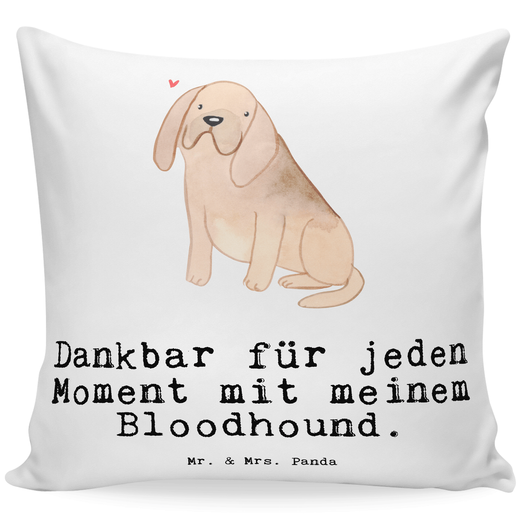 40x40 Kissen Bloodhound Moment Kissenhülle, Kopfkissen, Sofakissen, Dekokissen, Motivkissen, sofakissen, sitzkissen, Kissen, Kissenbezüge, Kissenbezug 40x40, Kissen 40x40, Kissenhülle 40x40, Zierkissen, Couchkissen, Dekokissen Sofa, Sofakissen 40x40, Dekokissen 40x40, Kopfkissen 40x40, Kissen 40x40 Waschbar, Hund, Hunderasse, Rassehund, Hundebesitzer, Geschenk, Tierfreund, Schenken, Welpe, Bluthund, Bloodhound, St. Hubertushund, Chien de Saint Hubert