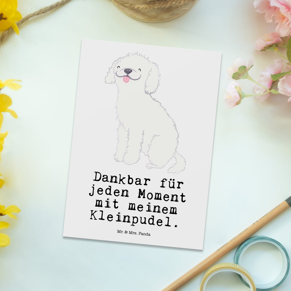 Postkarte Kleinpudel Moment Postkarte, Karte, Geschenkkarte, Grußkarte, Einladung, Ansichtskarte, Geburtstagskarte, Einladungskarte, Dankeskarte, Ansichtskarten, Einladung Geburtstag, Einladungskarten Geburtstag, Hund, Hunderasse, Rassehund, Hundebesitzer, Geschenk, Tierfreund, Schenken, Welpe, Pudel, Kleinpudel