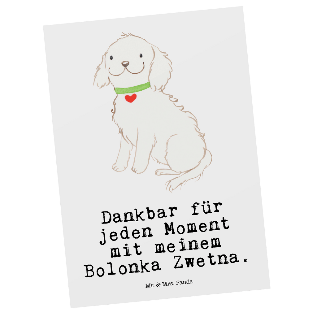 Postkarte Bolonka Zwetna Moment Postkarte, Karte, Geschenkkarte, Grußkarte, Einladung, Ansichtskarte, Geburtstagskarte, Einladungskarte, Dankeskarte, Ansichtskarten, Einladung Geburtstag, Einladungskarten Geburtstag, Hund, Hunderasse, Rassehund, Hundebesitzer, Geschenk, Tierfreund, Schenken, Welpe, Bolonka Zwetna, Tsvetnaya Bolonka