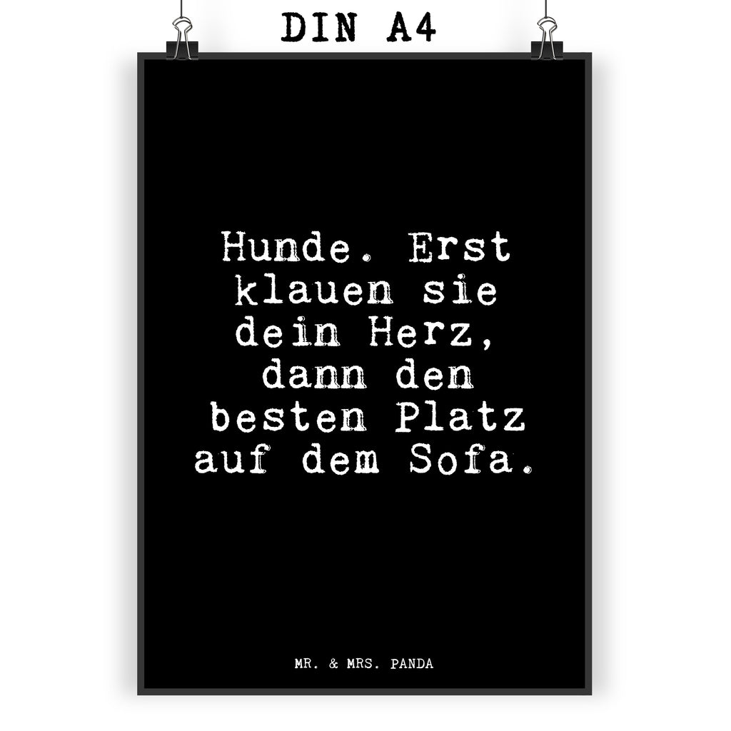 Poster Hunde. Erst klauen sie... Poster, Wandposter, Bild, Wanddeko, Küchenposter, Kinderposter, Wanddeko Bild, Raumdekoration, Wanddekoration, Handgemaltes Poster, Mr. & Mrs. Panda Poster, Designposter, Kunstdruck, Posterdruck, Spruch, Sprüche, lustige Sprüche, Weisheiten, Zitate, Spruch Geschenke, Glizer Spruch Sprüche Weisheiten Zitate Lustig Weisheit Worte