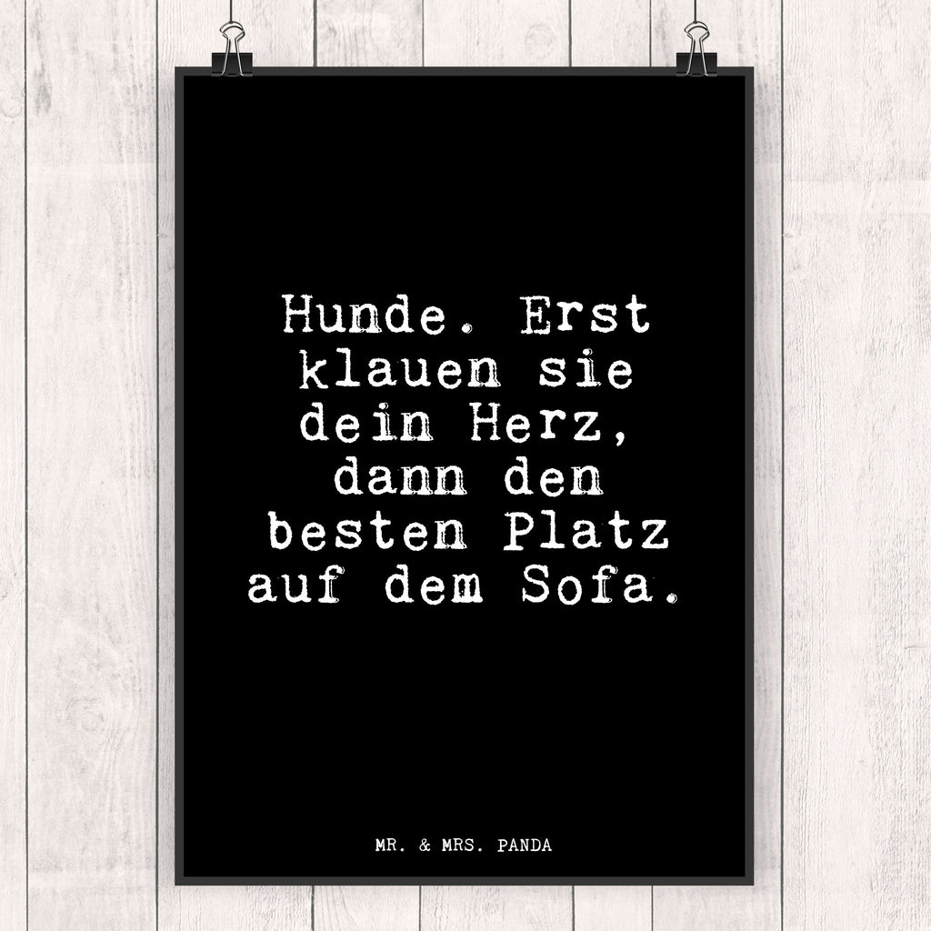 Poster Hunde. Erst klauen sie... Poster, Wandposter, Bild, Wanddeko, Küchenposter, Kinderposter, Wanddeko Bild, Raumdekoration, Wanddekoration, Handgemaltes Poster, Mr. & Mrs. Panda Poster, Designposter, Kunstdruck, Posterdruck, Spruch, Sprüche, lustige Sprüche, Weisheiten, Zitate, Spruch Geschenke, Glizer Spruch Sprüche Weisheiten Zitate Lustig Weisheit Worte