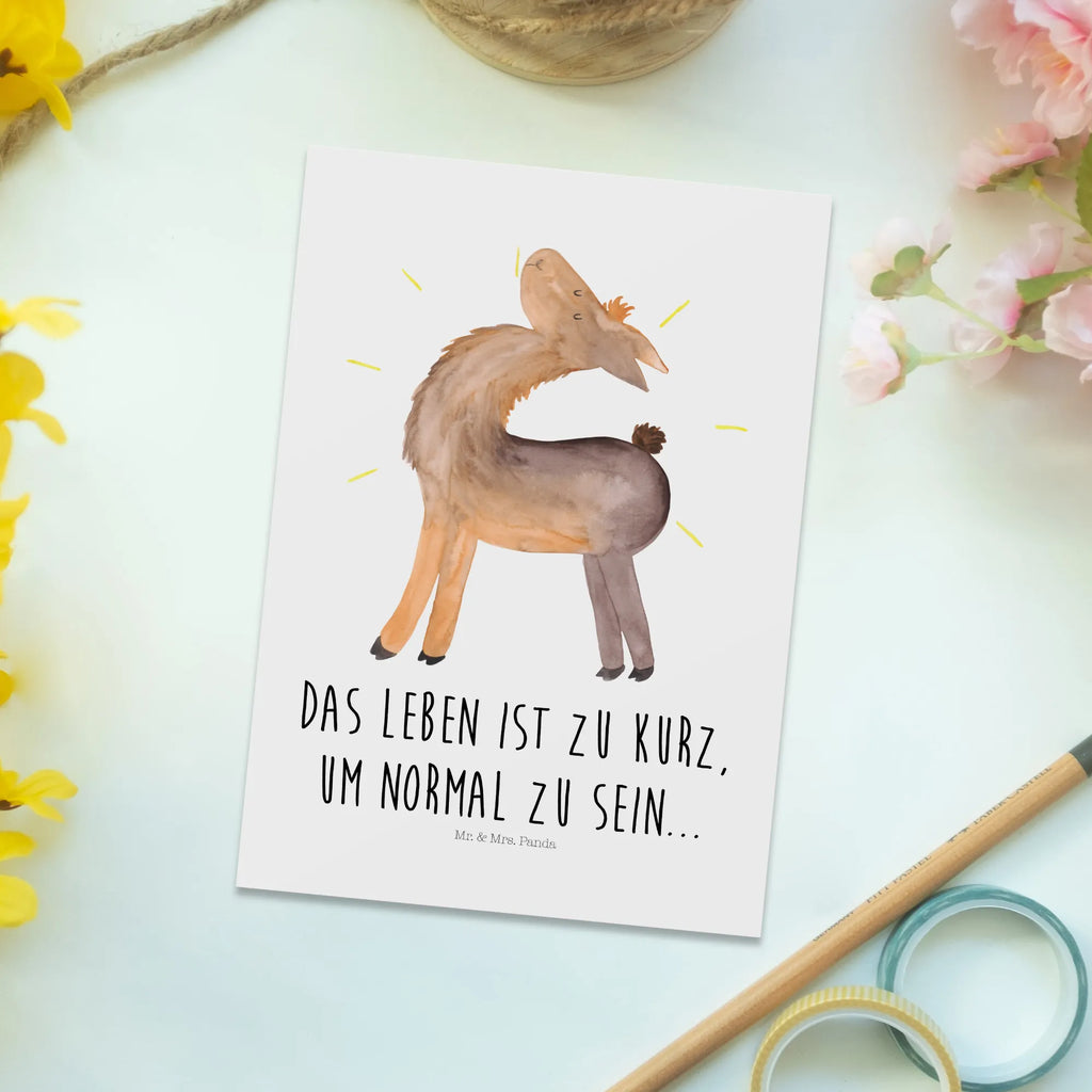 Postkarte Lama stolz Postkarte, Karte, Geschenkkarte, Grußkarte, Einladung, Ansichtskarte, Geburtstagskarte, Einladungskarte, Dankeskarte, Ansichtskarten, Einladung Geburtstag, Einladungskarten Geburtstag, Lama, Alpaka, Lamas, Außenseiter, Anders, Neustart, stolz, Hippie, Freundin, Freundinnen, beste Freundin, Kumpel, Familie, Family