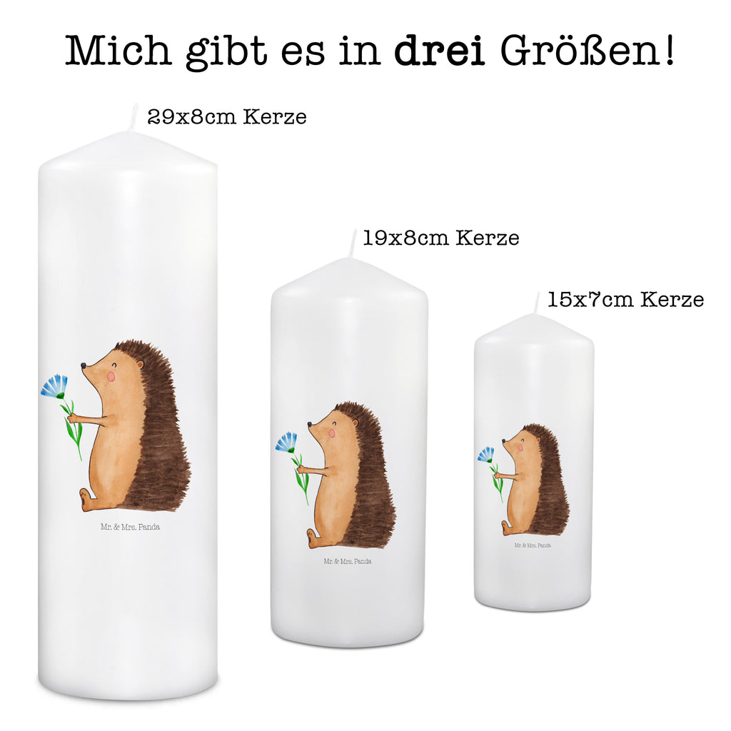 Kerze Igel mit Blume Kerze, Taufkerze, Kommunionskerze, Geburtstagskerze, Geschenk Kerze, Taufgeschenk Kerze, Kerze mit Druck, Besondere Kerze, Geschenkidee Kerze, Kerze für Kommunion, Geburtstag Kerze, Kommunion Kerze, Tiermotive, Gute Laune, lustige Sprüche, Tiere, Igel, Gute Besserung, Genesungswünsche, Krankheit, Krankenhaus, krank, Besuch