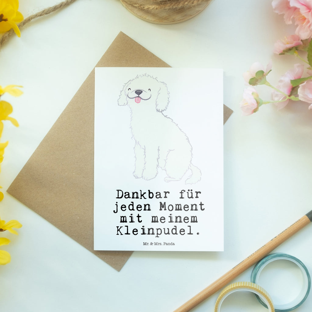 Grußkarte Kleinpudel Moment Grußkarte, Klappkarte, Einladungskarte, Glückwunschkarte, Hochzeitskarte, Geburtstagskarte, Karte, Ansichtskarten, Hund, Hunderasse, Rassehund, Hundebesitzer, Geschenk, Tierfreund, Schenken, Welpe, Pudel, Kleinpudel