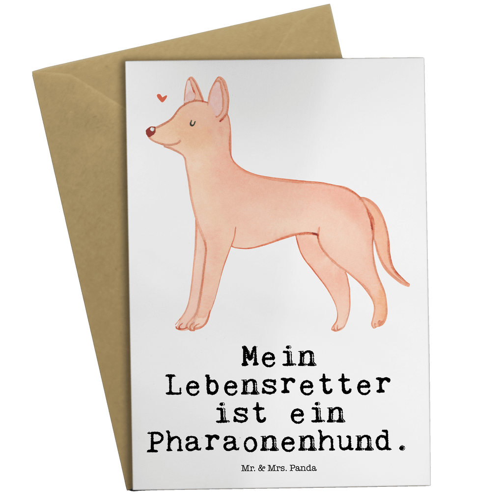 Grußkarte Pharaonenhund Lebensretter Grußkarte, Klappkarte, Einladungskarte, Glückwunschkarte, Hochzeitskarte, Geburtstagskarte, Karte, Ansichtskarten, Hund, Hunderasse, Rassehund, Hundebesitzer, Geschenk, Tierfreund, Schenken, Welpe, Pharaonenhund, Pharaoh Hound, Kelb tal-Fenek