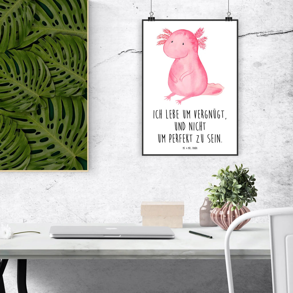 Poster Axolotl null Poster, Wandposter, Bild, Wanddeko, Küchenposter, Kinderposter, Wanddeko Bild, Raumdekoration, Wanddekoration, Handgemaltes Poster, Mr. & Mrs. Panda Poster, Designposter, Kunstdruck, Posterdruck, Axolotl, Molch, Axolot, vergnügt, fröhlich, zufrieden, Lebensstil, Weisheit, Lebensweisheit, Liebe, Freundin