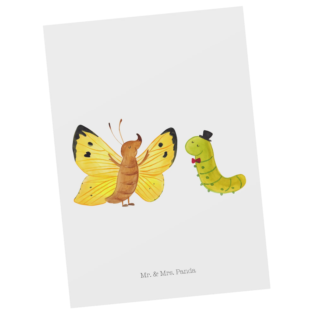 Postkarte Raupe Schmetterling Postkarte, Karte, Geschenkkarte, Grußkarte, Einladung, Ansichtskarte, Geburtstagskarte, Einladungskarte, Dankeskarte, Ansichtskarten, Einladung Geburtstag, Einladungskarten Geburtstag, Tiermotive, Gute Laune, lustige Sprüche, Tiere, Raupe, Schmetterling, Zitronenfalter, Entwicklung, Erwachsen werden, Kokon, Hut, Hütchen, Schönheit, Aufwachsen