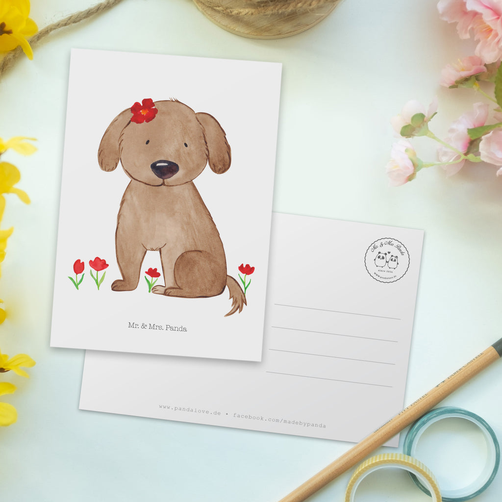 Postkarte Hund Dame Postkarte, Karte, Geschenkkarte, Grußkarte, Einladung, Ansichtskarte, Geburtstagskarte, Einladungskarte, Dankeskarte, Ansichtskarten, Einladung Geburtstag, Einladungskarten Geburtstag, Hund, Hundemotiv, Haustier, Hunderasse, Tierliebhaber, Hundebesitzer, Sprüche, Hunde, Hundeliebe, Hundeglück, Liebe, Frauchen