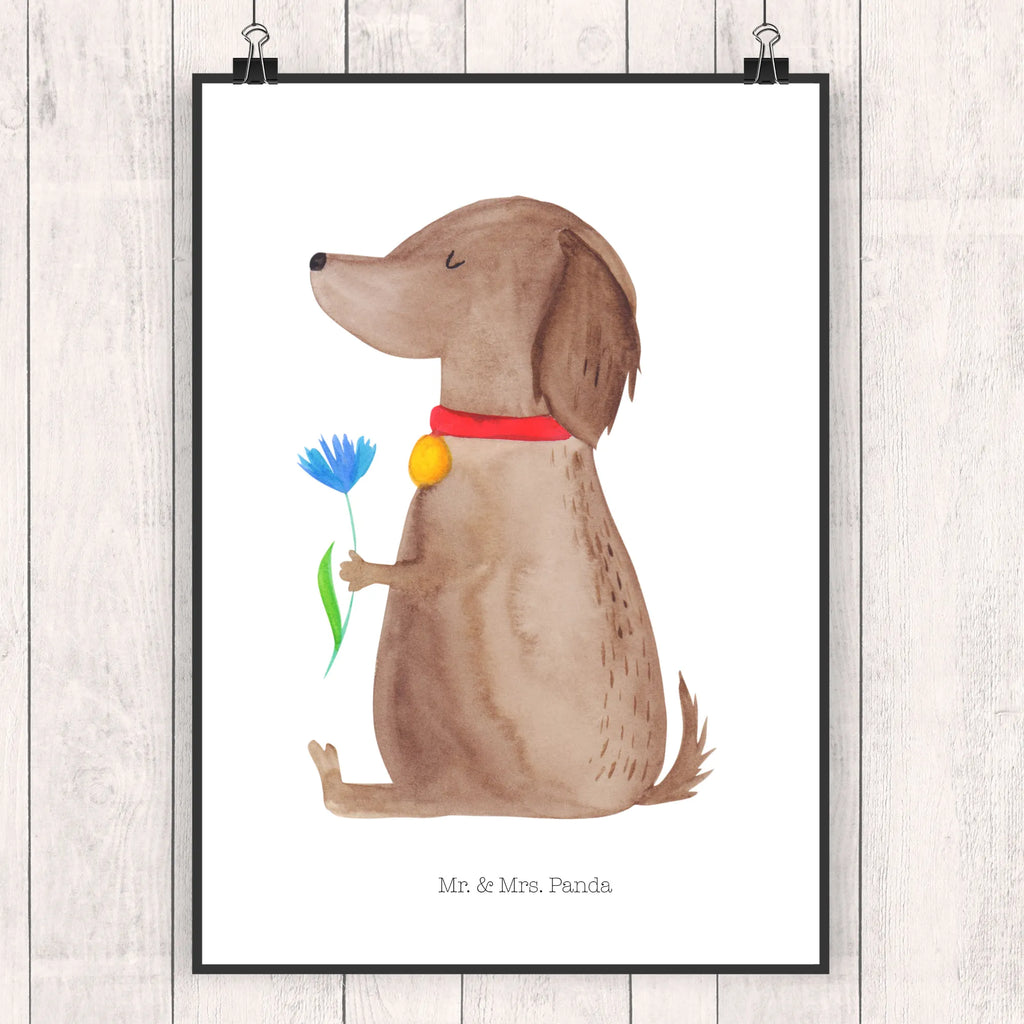 Poster Hund Blume Poster, Wandposter, Bild, Wanddeko, Küchenposter, Kinderposter, Wanddeko Bild, Raumdekoration, Wanddekoration, Handgemaltes Poster, Mr. & Mrs. Panda Poster, Designposter, Kunstdruck, Posterdruck, Hund, Hundemotiv, Haustier, Hunderasse, Tierliebhaber, Hundebesitzer, Sprüche, Hunde, Frauchen, Hundeliebe