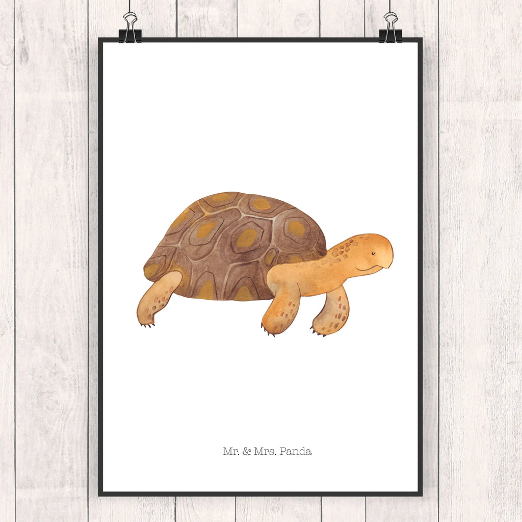 Poster Schildkröte Marschieren Poster, Wandposter, Bild, Wanddeko, Küchenposter, Kinderposter, Wanddeko Bild, Raumdekoration, Wanddekoration, Handgemaltes Poster, Mr. & Mrs. Panda Poster, Designposter, Kunstdruck, Posterdruck, Meerestiere, Meer, Urlaub, Schildkröte, Schildkröten, get lost, Abenteuer, Reiselust, Inspiration, Neustart, Motivation, Lieblingsmensch