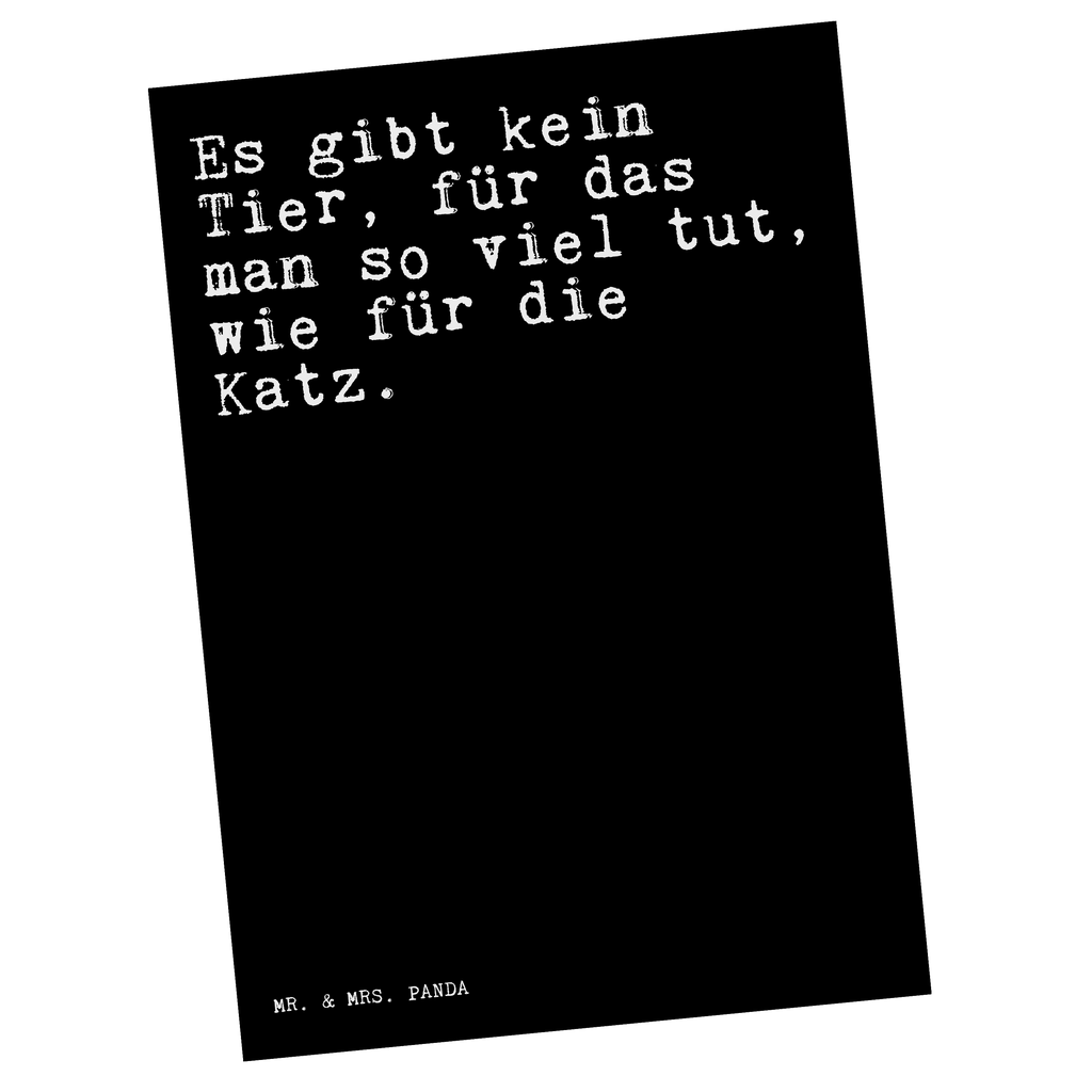 Postkarte Sprüche und Zitate Es gibt kein Tier, für das man so viel tut, wie für die Katz. Postkarte, Karte, Geschenkkarte, Grußkarte, Einladung, Ansichtskarte, Geburtstagskarte, Einladungskarte, Dankeskarte, Ansichtskarten, Einladung Geburtstag, Einladungskarten Geburtstag, Spruch, Sprüche, lustige Sprüche, Weisheiten, Zitate, Spruch Geschenke, Spruch Sprüche Weisheiten Zitate Lustig Weisheit Worte