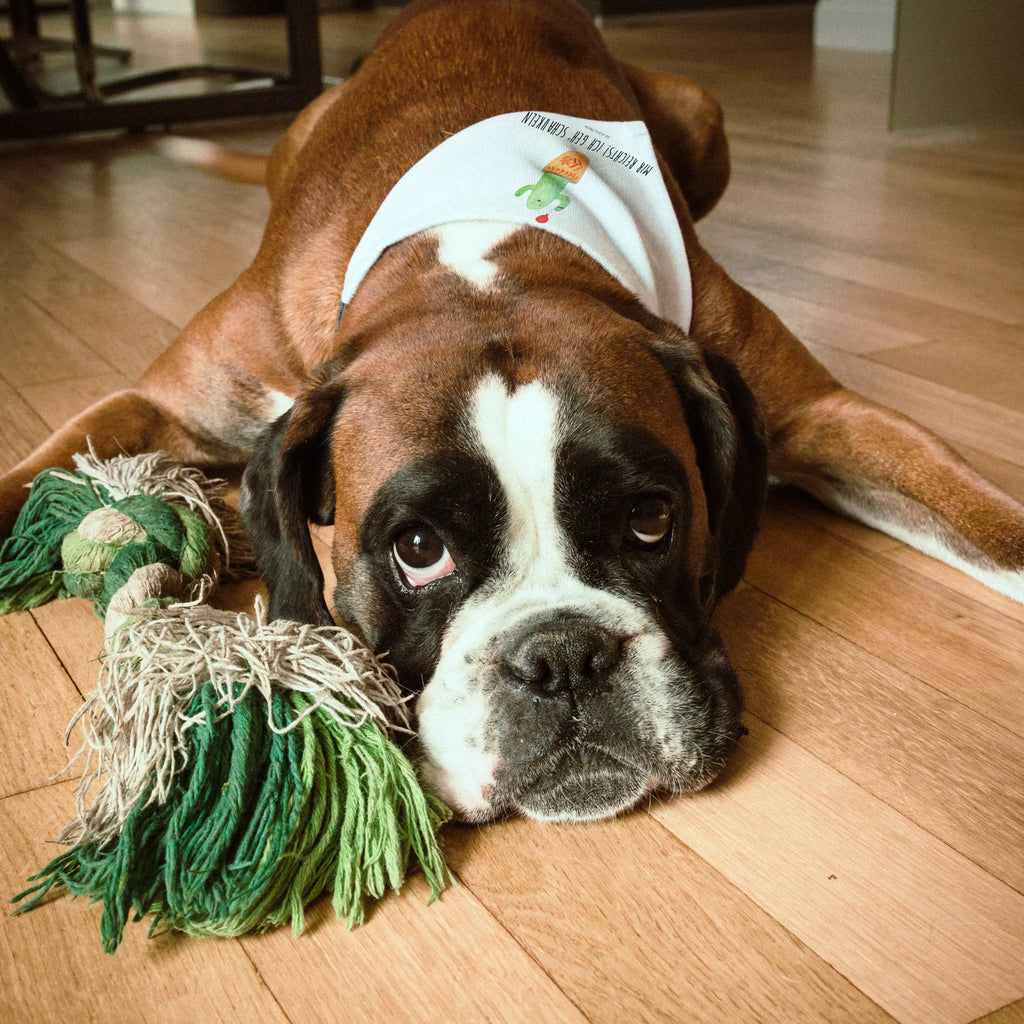 Hundehalstuch Kaktus Luftballon Hundehalstuch, Halstuch, Hunde, Tuch, klein, kleine Hunde, Kaktus, Kakteen, Luftballon, Neustart, Freude, Büro, Stress, Büroalltag, Freundin, Freund, Ausbildung, Prüfung