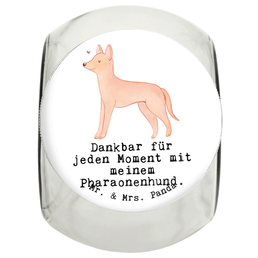 Leckerli Glas Pharaonenhund Moment Leckerli Glas, Leckerli Glas Hund, Leckerli Glas Katze, Leckerli Dose, Hundeleckerlies Behälter, Hund, Hunderasse, Rassehund, Hundebesitzer, Geschenk, Tierfreund, Schenken, Welpe, Pharaonenhund, Pharaoh Hound, Kelb tal-Fenek