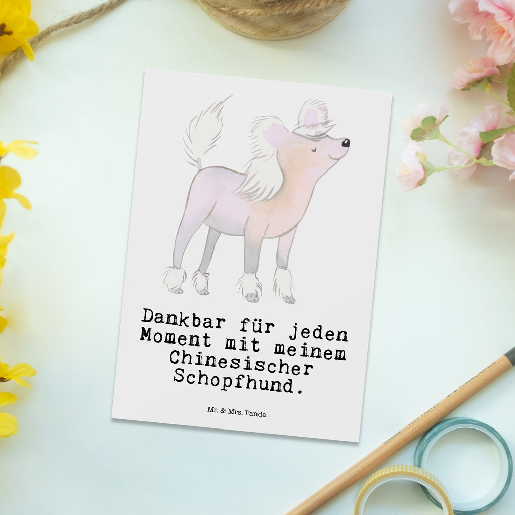 Postkarte Chinesischer Schopfhund Moment Postkarte, Karte, Geschenkkarte, Grußkarte, Einladung, Ansichtskarte, Geburtstagskarte, Einladungskarte, Dankeskarte, Ansichtskarten, Einladung Geburtstag, Einladungskarten Geburtstag, Hund, Hunderasse, Rassehund, Hundebesitzer, Geschenk, Tierfreund, Schenken, Welpe, Chinesischer Schopfhund, Chinese Crested Dog