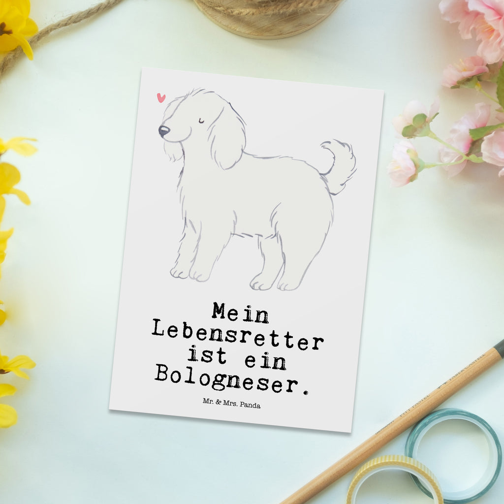 Postkarte Bologneser Lebensretter Postkarte, Karte, Geschenkkarte, Grußkarte, Einladung, Ansichtskarte, Geburtstagskarte, Einladungskarte, Dankeskarte, Ansichtskarten, Einladung Geburtstag, Einladungskarten Geburtstag, Hund, Hunderasse, Rassehund, Hundebesitzer, Geschenk, Tierfreund, Schenken, Welpe, Bologneser