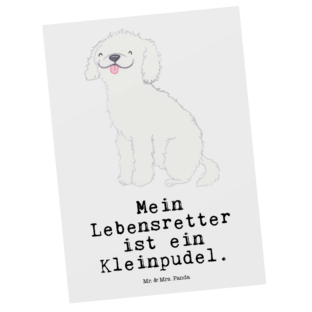 Postkarte Kleinpudel Lebensretter Postkarte, Karte, Geschenkkarte, Grußkarte, Einladung, Ansichtskarte, Geburtstagskarte, Einladungskarte, Dankeskarte, Ansichtskarten, Einladung Geburtstag, Einladungskarten Geburtstag, Hund, Hunderasse, Rassehund, Hundebesitzer, Geschenk, Tierfreund, Schenken, Welpe, Pudel, Kleinpudel